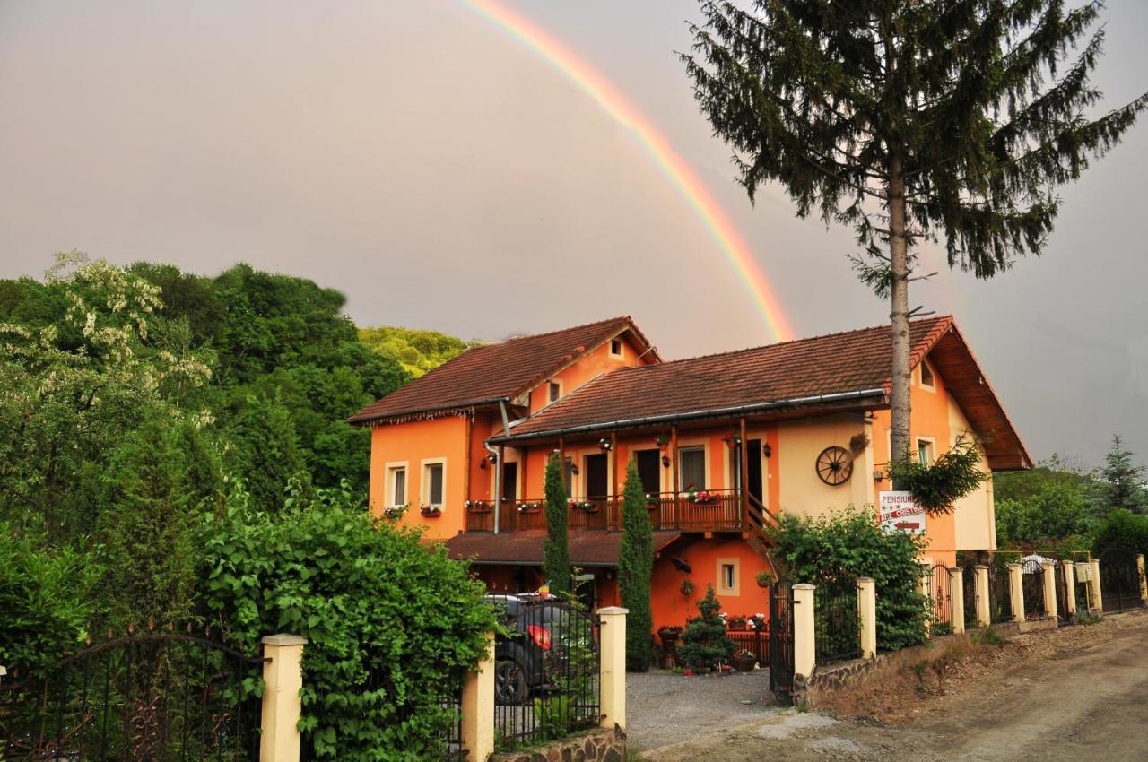 Pensiunea Ana Cristina Sighişoara Exterior foto